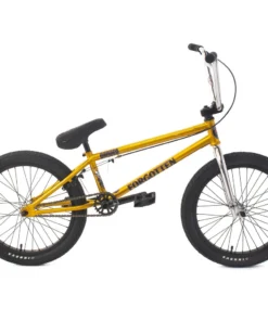 Academy BMX Forgotten Damned BMX Bike