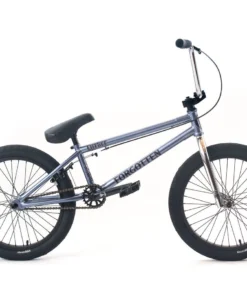 Academy BMX Forgotten Lurker BMX Bike