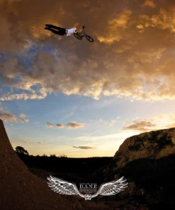 Back Bone BMX Dane Searls D.A.N.E Tribute Poster - Limited Edition