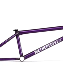 Wethepeople Doomsayer Frame (2021)
