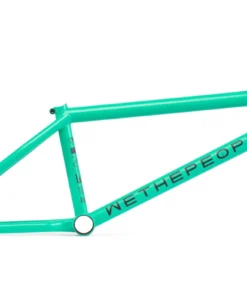 Wethepeople Network Frame (2020) FRAMES
